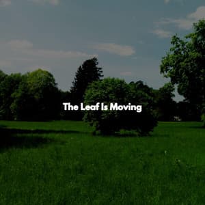 The Leaf Is Moving - Chill Lounge Hotel