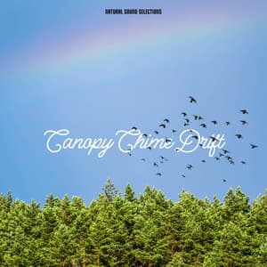 Canopy Chime Drift - Natural Sound Selections
