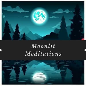 Moonlit Meditations: A Journey to Inner Peace with a Piano - Nature Queen