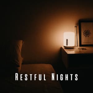 Restful Nights: Chill Music Sleepscapes - Bona Nochy