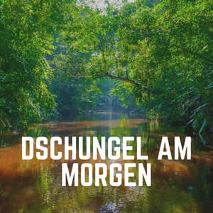 Dschungel Am Morgen - Naturgeräusche