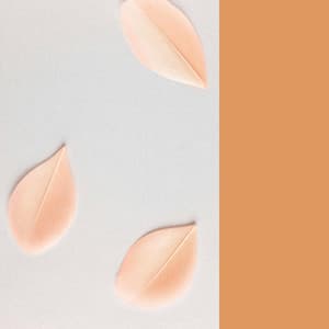 Music for Relaxed Sunday Nite - Jazz Quintet - Rilassante Jazz Musica Ambiente