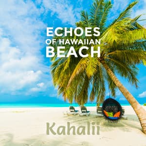 Echoes of Hawaiian Beach - Kahalii