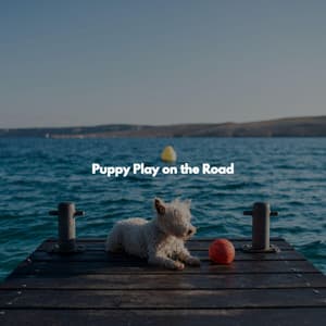 Puppy Play on the Road - Jazz Classique