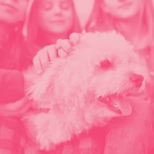 Music for Doggy Vibes - Calming for Dogs