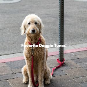 Favorite Doggie Tunes - Relaxing Dog Music Classics