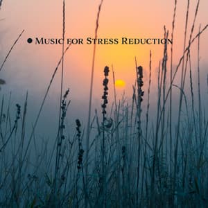 Music for Stress Reduction: Soothing Soundscape, Nature Serenity, Calming New Age Music - Anti Stress Music Zone