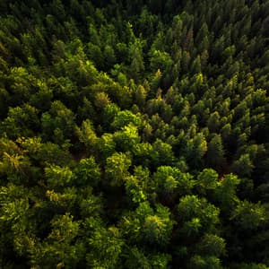 Mi Casa - Música De Relajación Para Dormir Profundamente