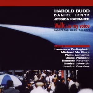 Walk into My Voice - Harold Budd