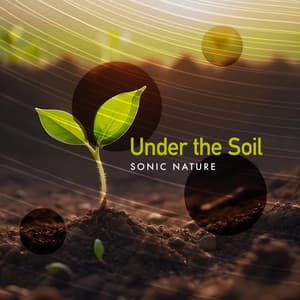 Under the Soil - Sonic Nature