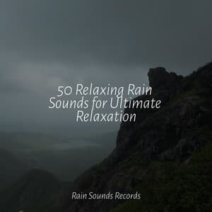 50 Relaxing Rain Sounds for Ultimate Relaxation - Rain Sound Studio