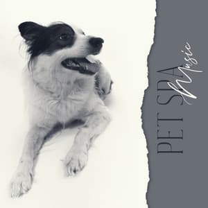Pet Spa Music - Sounds for Care and Love for Dogs, Cats, Hamsters and Guinea Pigs - Pet Love Academy