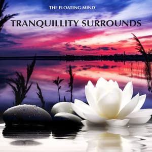 Tranquillity Surrounds - The Floating Mind