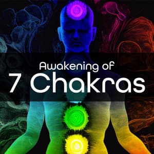 Awakening of 7 Chakras: Enhanced Mental Clarity, Infinite Wisdom, Raise Your Positive Vibration - Meditative Comfort Zone