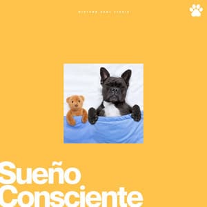 Sueño Consciente - Hora de la Música del Perro