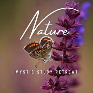 Mystic Study Retreat: Mindful Melodies - Classical Music For Studying