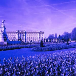 Beautiful Piano Bossa Duo - Background for Wonderful Noise - Jazz for Tea and Coffee