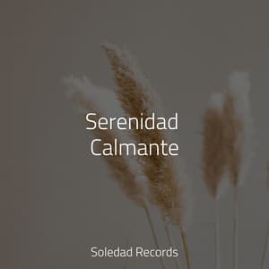 Serenidad Calmante - Canciones De Cuna Para Dormir Bebes