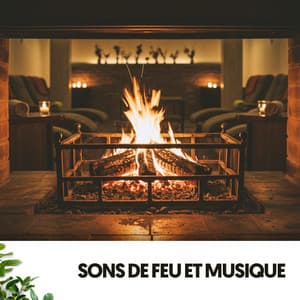 Sons de Feu et Musique: Saute, Cours, Brûle - Fireplace Sounds