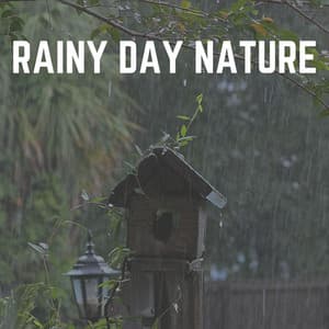 Rainy Day Nature - Rain Sounds for Sleep Aid
