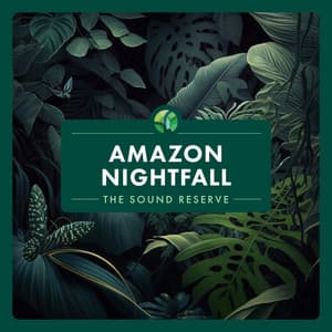 Amazon Nightfall - The Sound Reserve