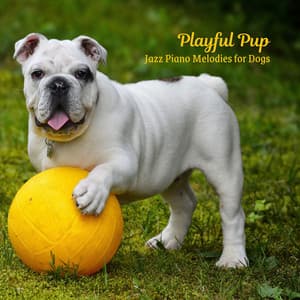 Playful Pup: Jazz Piano Melodies for Dogs - Coffee Shop Ambience