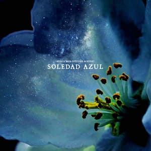 Soledad Azul - Musica Para Estudiar Academy