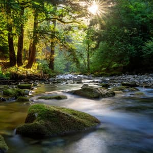 Music For Nature's Embrace And Simple Joys - Soothing Relaxation Moments