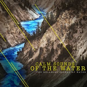 Calm Sounds of the Water - The Relaxing Sounds of Water