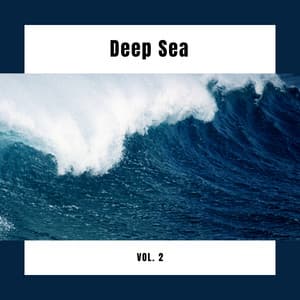 1 Deep Sea Vol. 2 - The Relaxing Sounds of Swedish Nature