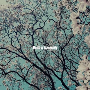 Music of Tranquility - Music for Programming