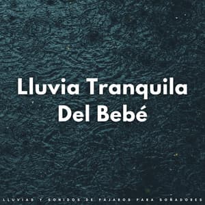 Lluvia Tranquila Del Bebé: Lluvias Y Sonidos De Pájaros Para Soñadores - Lluvia y Naturaleza