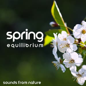 Spring Equilibrium: Sounds From Nature To Enjoy The Sun And Achieve Total Relaxation - Total Nature Relaxation