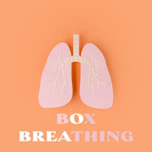 Box Breathing: Calm Feelings of Stress, Panic & Anxiety, Relaxation Music - Breathe Music Universe