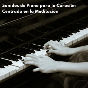 Sonidos De Piano Para La Curación Centrada En La Meditación - Relajación Piano