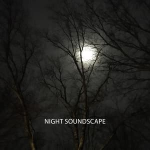 Night Soundscape: Music for Good Sleep at Night - Beautiful Deep Sleep Music Universe