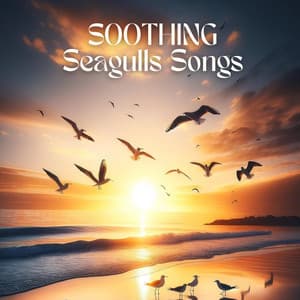 Soothing Seagulls Songs: Ocean and Sea Nature Sounds for Relax, Spa and Sleep - Soothing Sounds