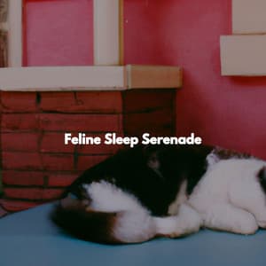 Feline Sleep Serenade - Calm Elevator Music