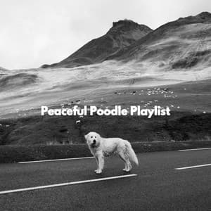 Peaceful Poodle Playlist - Restaurant Jazz Classics