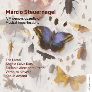 Márcio Steuernagel: A Mis•encyclopaedia of Musical Imperfections - Márcio Steuernagel