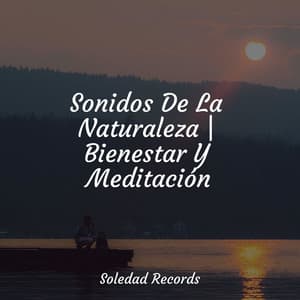 Sonidos De La Naturaleza | Bienestar Y Meditación - Música para Relajarse Profundamente