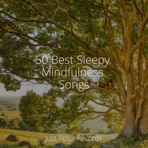 50 Best Sleepy Mindfulness Songs - CANCIONES DE CUNA