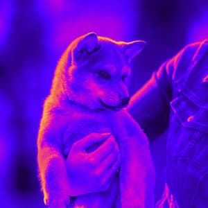 Alto Sax Solo - Calm Dog Music