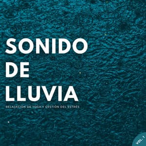 Sonido De Lluvia: Relajación De Yoga Y Gestión Del Estrés Vol. 1 - Olivia Lluvia