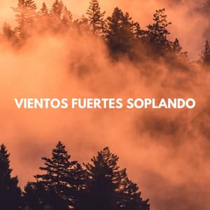 Vientos Fuertes Soplando - Fondo de naturaleza y sonidos