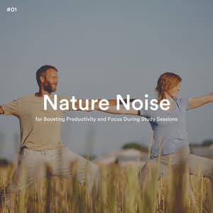 #01 Nature Noise for Boosting Productivity and Focus During Study Sessions - Nature