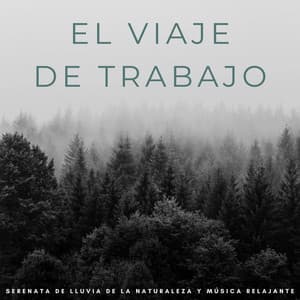 El Viaje De Trabajo: Serenata De Lluvia De La Naturaleza Y Música Relajante - Sonidos de lluvia tranquila
