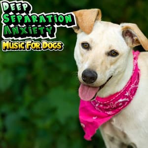 Relaxing Dog Music For Sleep Stress Relief & Anxiety - Deep Separation Anxiety Music For Dogs