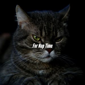 For Nap Time - Coffee Jazz