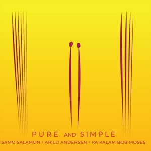 Pure and Simple - Samo Salamon